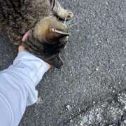 ヒメ日記 2025/08/03 03:39 投稿 あい sweet kiss