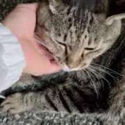 ヒメ日記 2025/08/04 03:29 投稿 あい sweet kiss