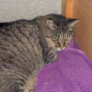 ヒメ日記 2025/08/05 03:09 投稿 あい sweet kiss