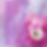 ヒメ日記 2025/08/06 23:22 投稿 あい sweet kiss