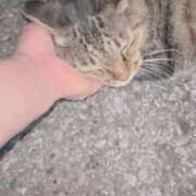 ヒメ日記 2025/08/08 03:19 投稿 あい sweet kiss