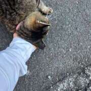 ヒメ日記 2025/08/09 02:59 投稿 あい sweet kiss