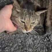 ヒメ日記 2025/08/10 02:59 投稿 あい sweet kiss