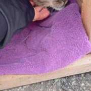 ヒメ日記 2025/08/10 16:45 投稿 あい sweet kiss