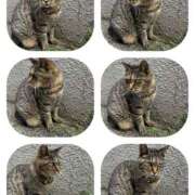 ヒメ日記 2025/08/11 19:57 投稿 あい sweet kiss