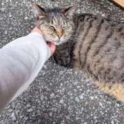 ヒメ日記 2025/08/13 02:59 投稿 あい sweet kiss