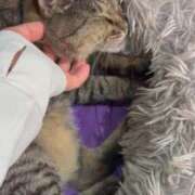 ヒメ日記 2025/08/19 03:39 投稿 あい sweet kiss