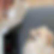 ヒメ日記 2025/08/19 21:37 投稿 あい sweet kiss