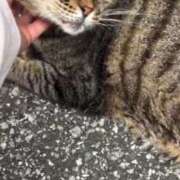 ヒメ日記 2025/08/21 03:19 投稿 あい sweet kiss