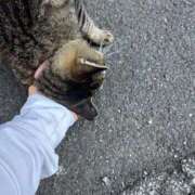 ヒメ日記 2025/08/22 03:59 投稿 あい sweet kiss