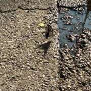 ヒメ日記 2025/08/24 16:29 投稿 あい sweet kiss