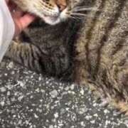 ヒメ日記 2025/08/25 03:39 投稿 あい sweet kiss