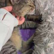 ヒメ日記 2025/08/27 03:39 投稿 あい sweet kiss