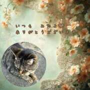 ヒメ日記 2025/08/28 04:29 投稿 あい sweet kiss