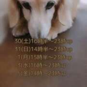 ヒメ日記 2025/08/28 08:36 投稿 あい sweet kiss