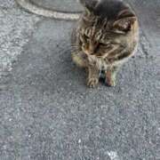 ヒメ日記 2025/08/29 03:49 投稿 あい sweet kiss