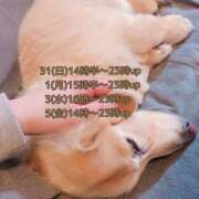 ヒメ日記 2025/08/30 23:40 投稿 あい sweet kiss