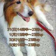 ヒメ日記 2025/08/31 09:30 投稿 あい sweet kiss