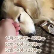 ヒメ日記 2025/08/31 22:46 投稿 あい sweet kiss