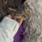 ヒメ日記 2025/09/02 02:49 投稿 あい sweet kiss