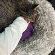 ヒメ日記 2025/09/03 03:49 投稿 あい sweet kiss