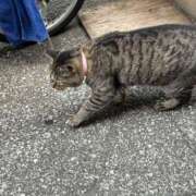 ヒメ日記 2025/09/03 15:44 投稿 あい sweet kiss