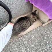 ヒメ日記 2025/09/03 15:59 投稿 あい sweet kiss