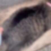 ヒメ日記 2025/09/04 01:52 投稿 あい sweet kiss