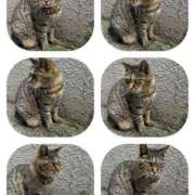 ヒメ日記 2025/09/05 03:49 投稿 あい sweet kiss