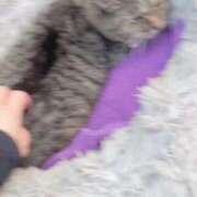 ヒメ日記 2025/09/07 03:29 投稿 あい sweet kiss