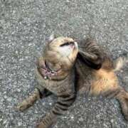 ヒメ日記 2025/09/09 03:59 投稿 あい sweet kiss