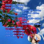 ヒメ日記 2025/09/09 21:49 投稿 あい sweet kiss