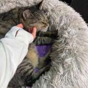 ヒメ日記 2025/09/10 03:29 投稿 あい sweet kiss