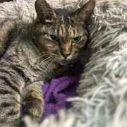 ヒメ日記 2025/09/12 04:09 投稿 あい sweet kiss