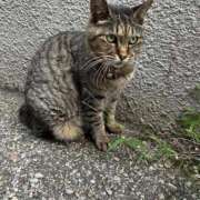 ヒメ日記 2025/09/14 04:09 投稿 あい sweet kiss