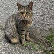 ヒメ日記 2025/09/15 02:59 投稿 あい sweet kiss