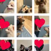 ヒメ日記 2025/09/15 14:59 投稿 あい sweet kiss