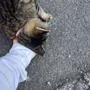 ヒメ日記 2025/09/22 10:19 投稿 あい sweet kiss