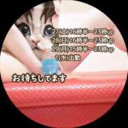 ヒメ日記 2025/09/25 08:08 投稿 あい sweet kiss