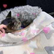 ヒメ日記 2025/09/26 02:59 投稿 あい sweet kiss