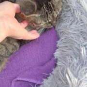 ヒメ日記 2025/09/27 16:29 投稿 あい sweet kiss