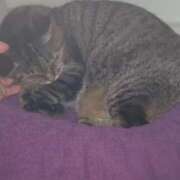 ヒメ日記 2025/09/28 03:39 投稿 あい sweet kiss