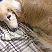 ヒメ日記 2025/09/28 09:21 投稿 あい sweet kiss