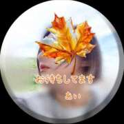 ヒメ日記 2025/09/28 22:47 投稿 あい sweet kiss