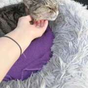 ヒメ日記 2025/09/30 03:29 投稿 あい sweet kiss