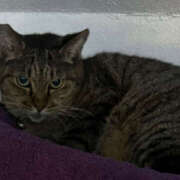 ヒメ日記 2025/09/30 08:12 投稿 あい sweet kiss