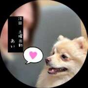 ヒメ日記 2025/10/02 04:17 投稿 あい sweet kiss