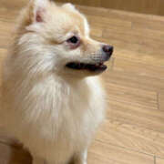 ヒメ日記 2025/10/03 22:34 投稿 あい sweet kiss