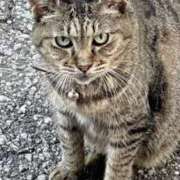 ヒメ日記 2025/10/05 02:59 投稿 あい sweet kiss