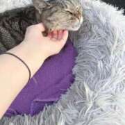 ヒメ日記 2025/10/07 03:29 投稿 あい sweet kiss